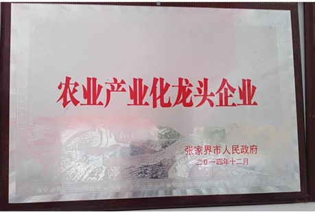 張家界千總生態(tài)食品有限公司,豆類食品生產加工銷售,血豆腐生產加工銷售,豆奶生產加工銷售